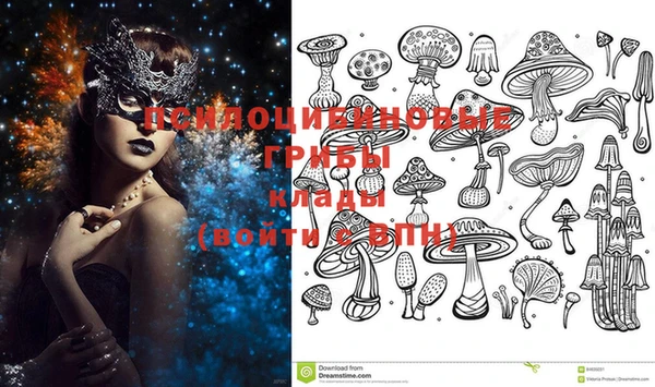 не бодяженный Алзамай