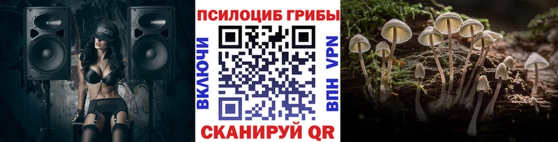 mega как войти  Шатура  Галлюциногенные грибы прущие грибы 